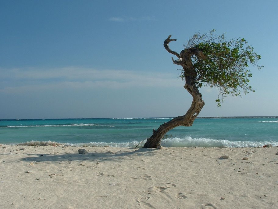 907.DAX Tipp-Spiel *Montag* 03.11.08, 17.45 Uhr 196429