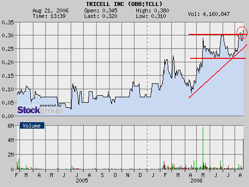 TRICELL INC WOW sie läuft an und wie $$ 52874