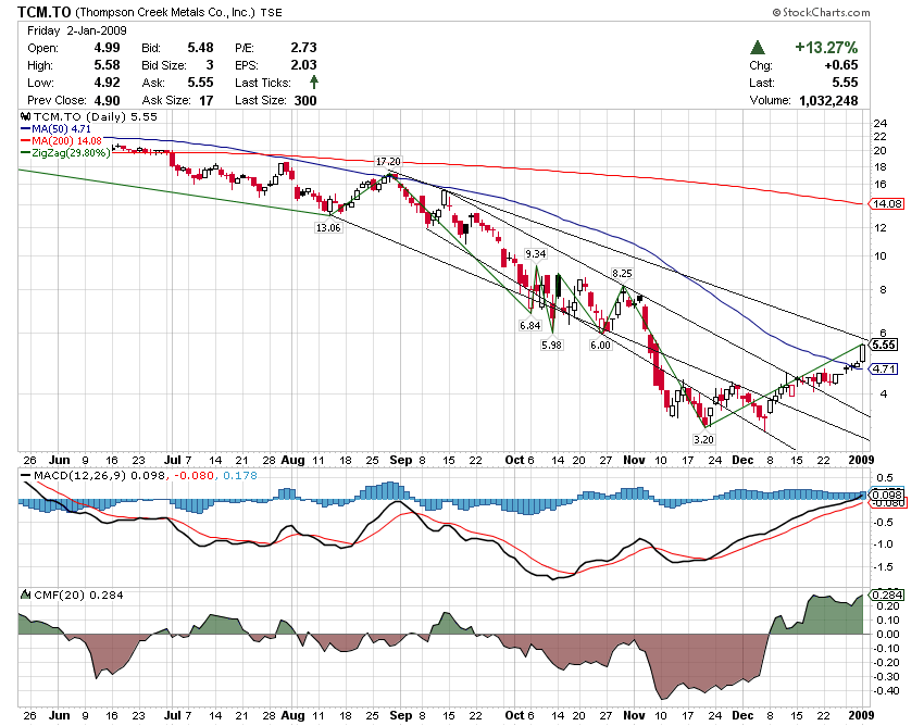 Thompson Creek Metals (Blue Pearl Mng) 208389