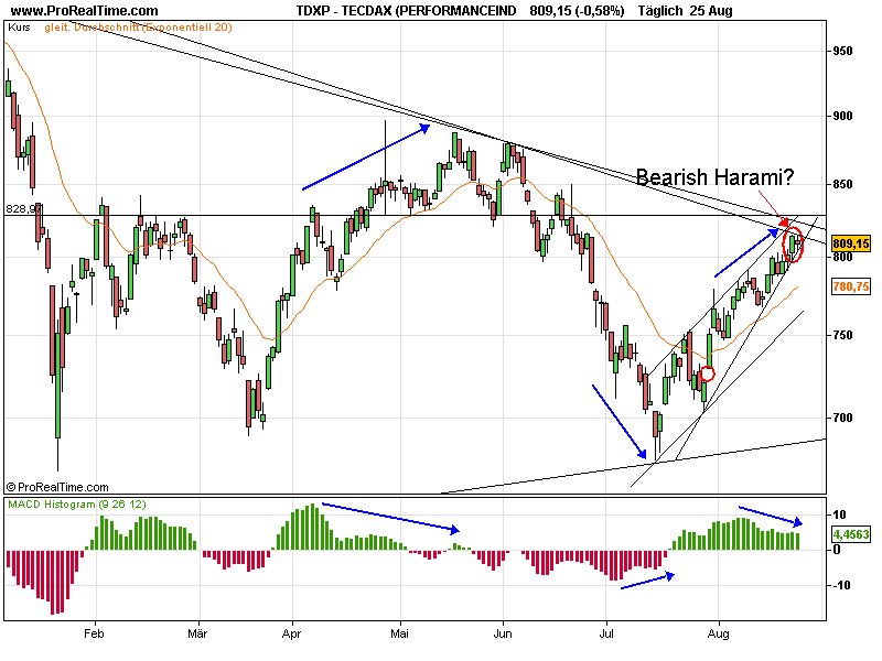 Die Bullen scharren gar nicht mit den Hufen, 182201