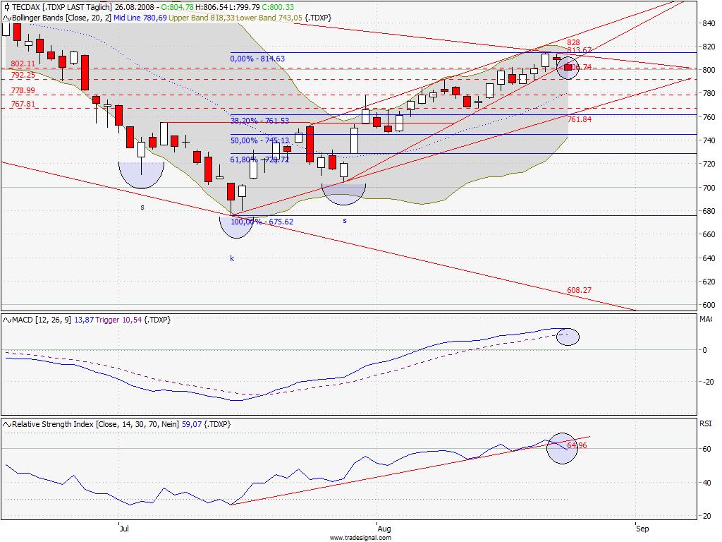 Die Bullen scharren gar nicht mit den Hufen, 182305