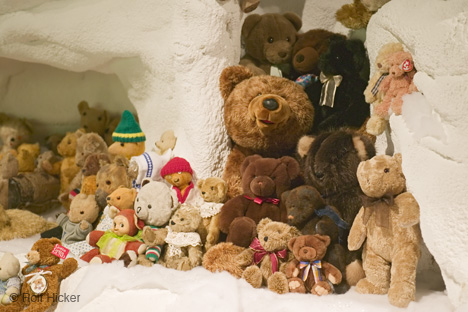 Der USA Bären-Thread 564342