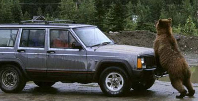 VG Gold ( ISIN: CA9182161021 ) 306707