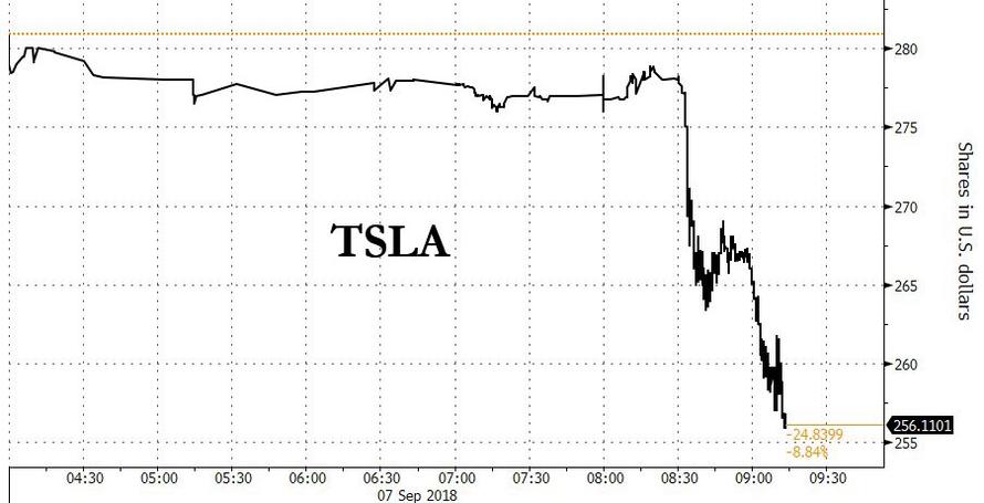 Der USA Bären-Thread 1073158