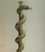 Nächster Megazock: Genta 232837