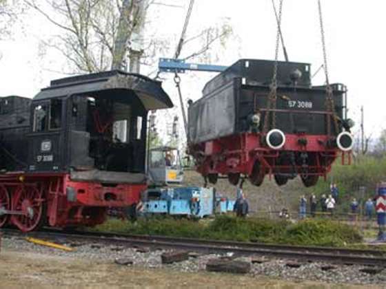 Der USA Bären-Thread 329378