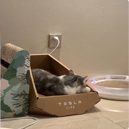 Tesla - Autos, Laster, Speicher und Solardächer 1386940