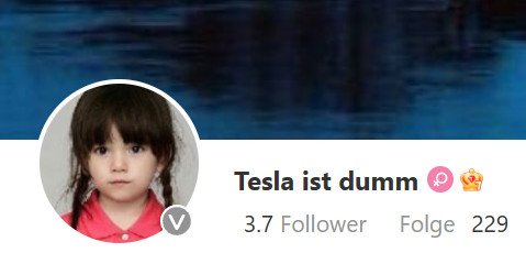 Tesla - Autos, Laster, Speicher und Solardächer 1389466