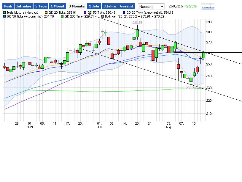 Tesla Model S 22-Jun-2012 die CHANCE 850349