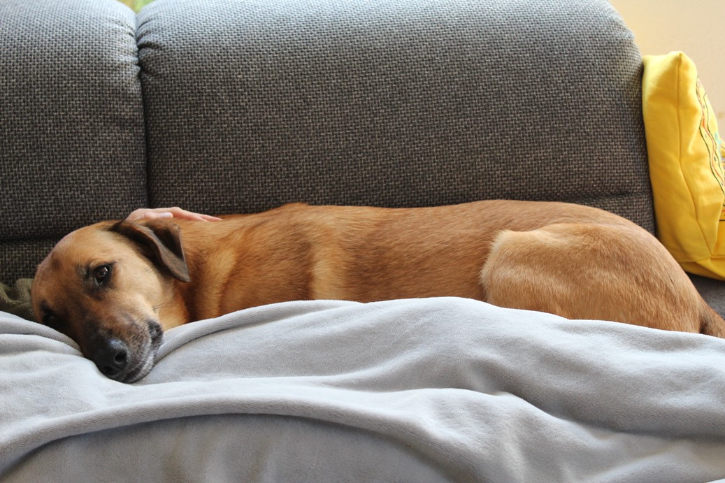 2018 QV-GDAXi-DJ-GOLD-EURUSD-JPY 1079672