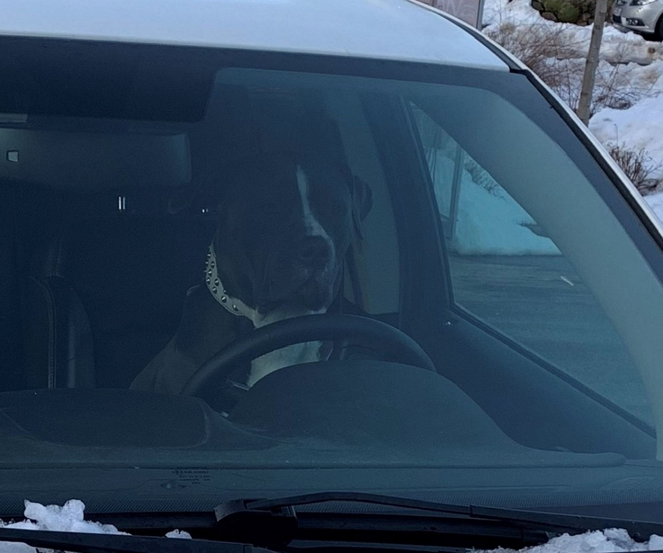 Tesla - Autos, Laster, Speicher und Solardächer 1158940