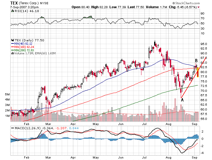 Der USA Bären-Thread 119110