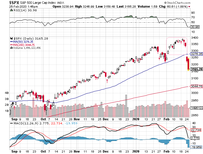 Der USA Bären-Thread 1162186