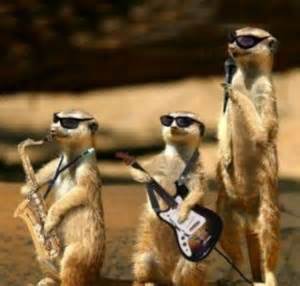 Nordex Akte X 767427