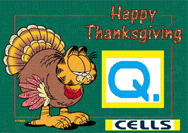 Q-Cells , der Solarzellenriese 202120