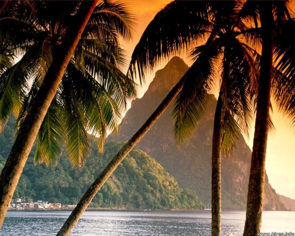 965.DAX Tipp-Spiel,Do,29.01.09, 17.45 Uhr 213024