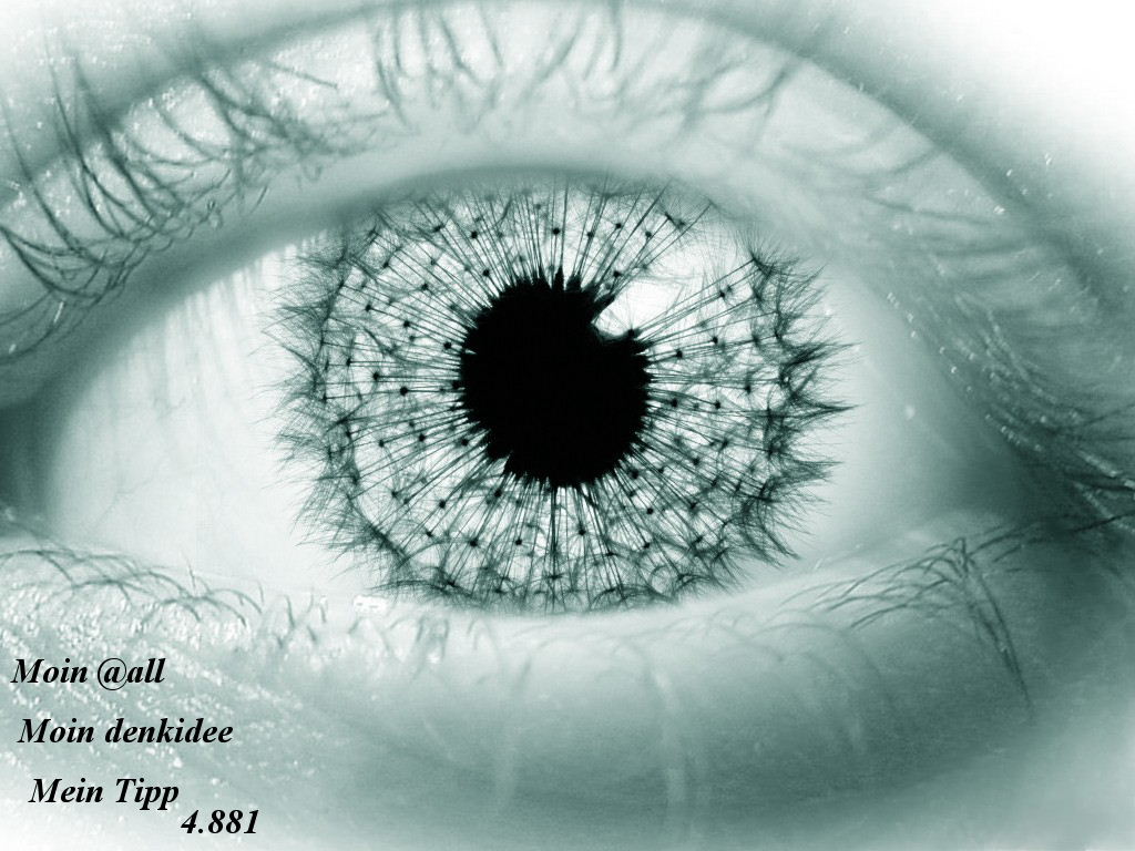 911.DAX Tipp-Spiel *Freitag* 07.11.08, 17.45 Uhr 197744