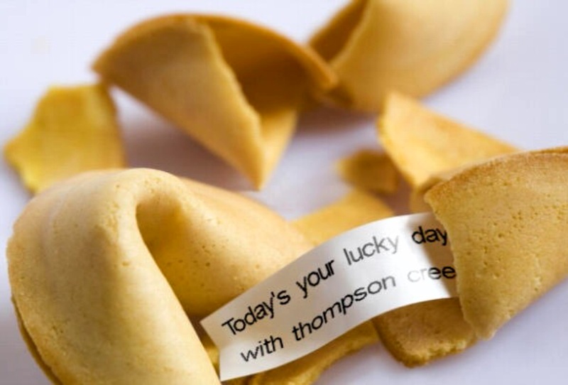 Thompson Creek Metals (Blue Pearl Mng) 231027