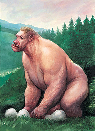 Der USA Bären-Thread 993361