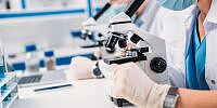 Pharmaindustrie: Sartorius-Aktien gefragt durch Elliott-Einstieg bei Bio-Rad