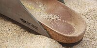EQS-News: BIRKENSTOCK TO EXECUTE $250 MILLION ACCELERATED SHARE REPURCHASE TO TAKE ADVANTAGE OF DISCONNECT BETWEEN SHARE PRICE AND FUNDAMENTAL PERFORMANCE