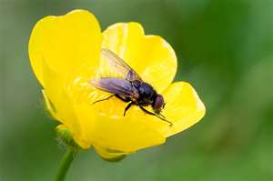 Aqua Society neuer Hype?? 373259