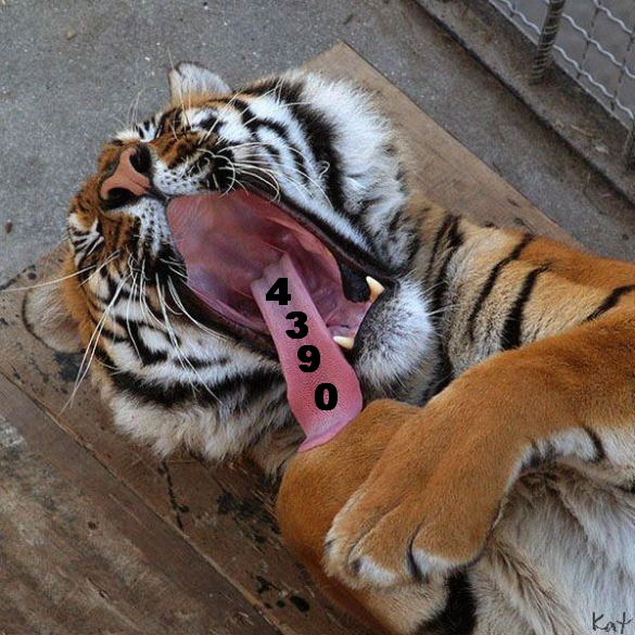 978.DAX Tipp-Spiel Dienstag,17.02.09.17.45 Uhr 216757