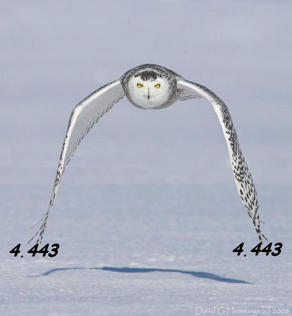 977.DAX Tipp-Spiel Montag,16.02.09.17.45 Uhr 216589