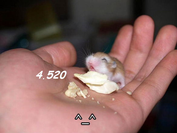 975.DAX Tipp-Spiel Do,12.02.09.17.45 Uhr 215993