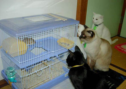 Der Millionen Zock ? 6655