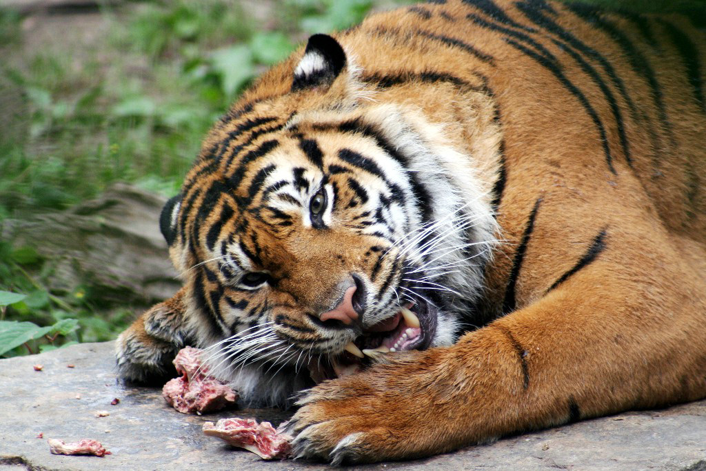 619.DAX Tipp-Spiel, Freitag, 14.09.07 120384