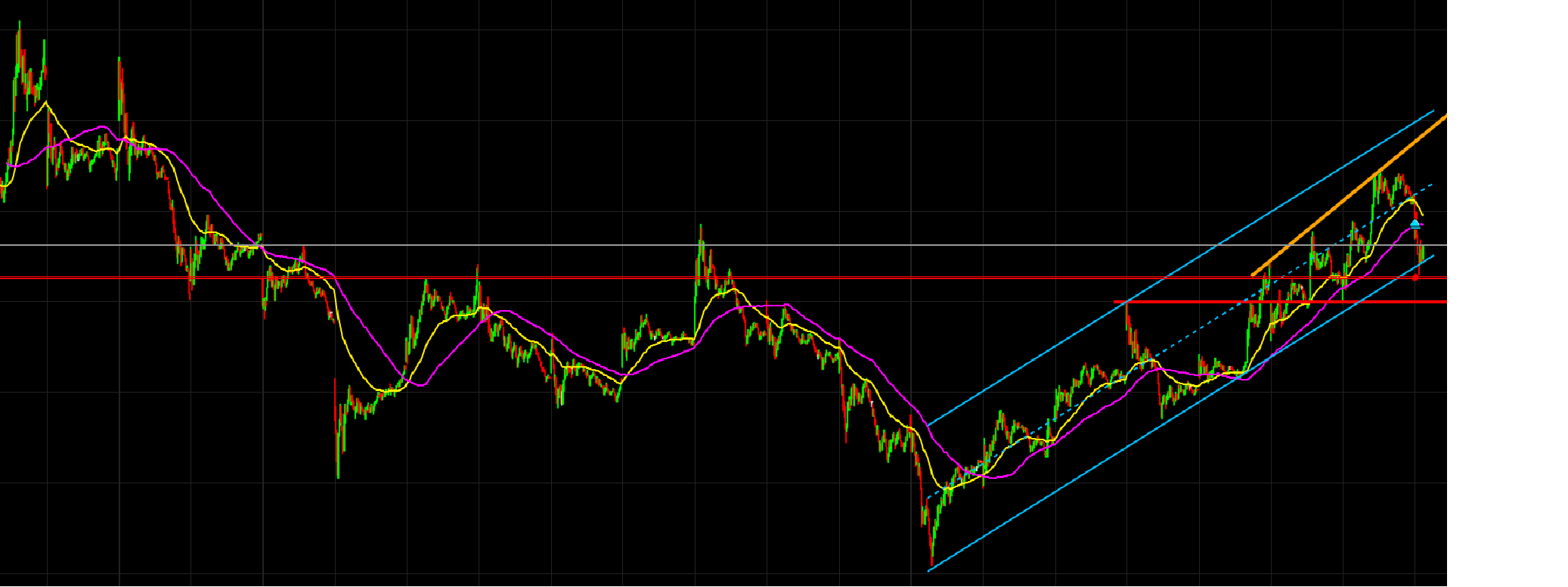 Tilray - Bestes Cannabis Unternehmen? 1240465