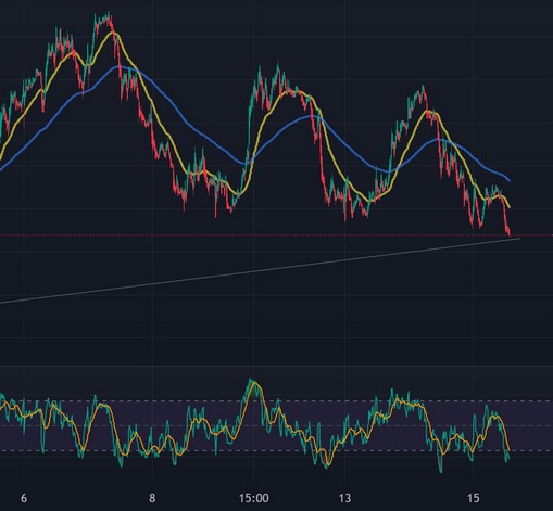Zucker ist ungesund ? 1398365