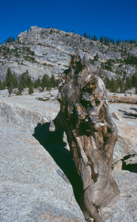 f-h Oni BW sb & Friends-TTT, Donnerstach 12.05.05 8418