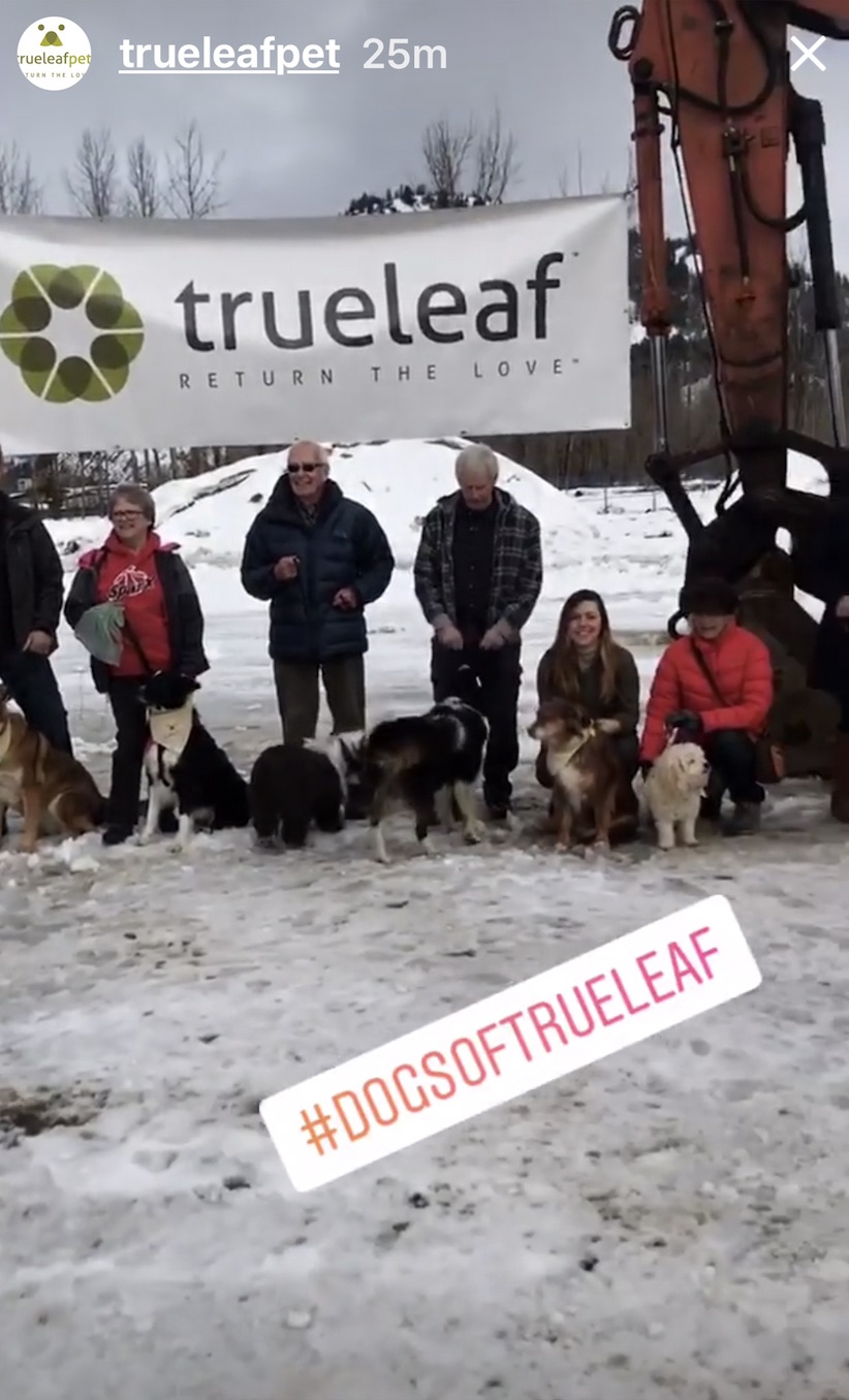 TRUE LEAF erhält Marijuana-Lizenz als nächstes? 1043407