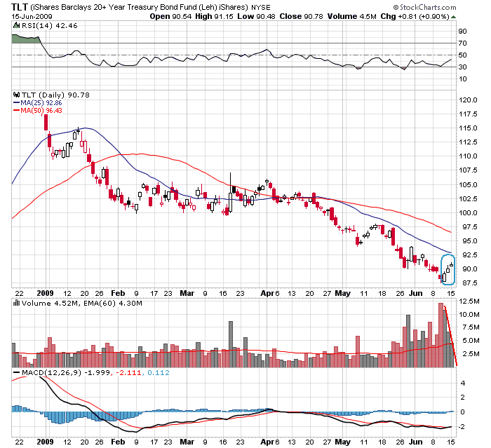 Der USA Bären-Thread 238932