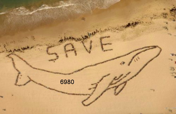 726.DAX Tipp-Spiel, Dienstag, 19.02.08 149200