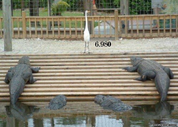 730.DAX Tipp-Spiel, Montag, 25.02.08 150513