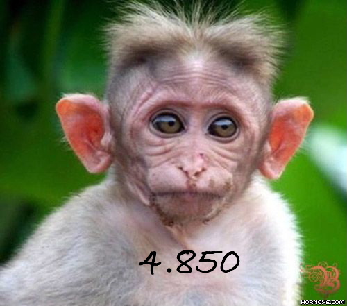 899.DAX Tipp-Spiel *Mittwoch* 22.10.08, 17.45 Uhr 194157