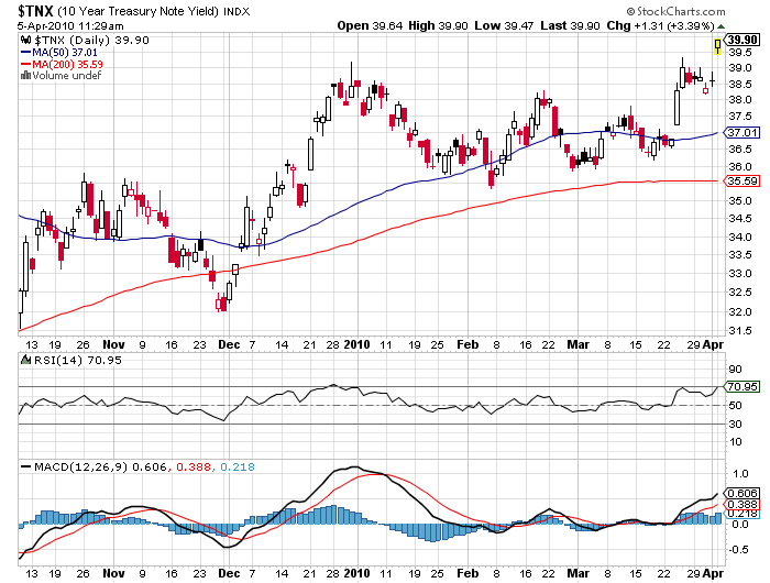 Der USA Bären-Thread 311380