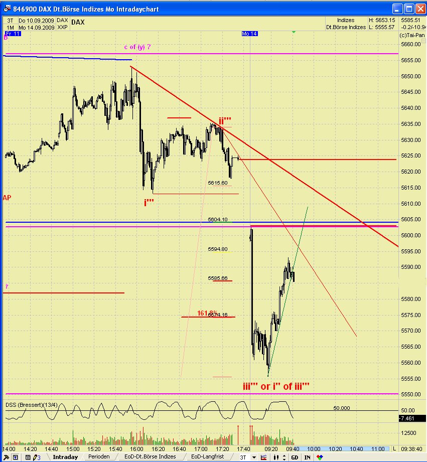 DAX 2009 Der Anfang vom Ende 259341