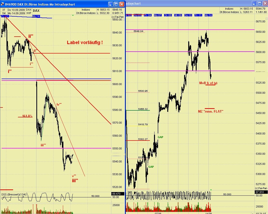 DAX 2009 Der Anfang vom Ende 259351