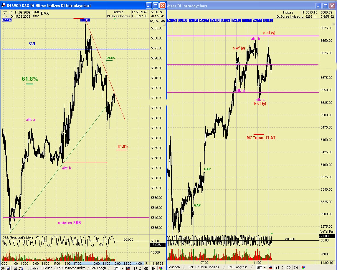 DAX 2009 Der Anfang vom Ende 259639