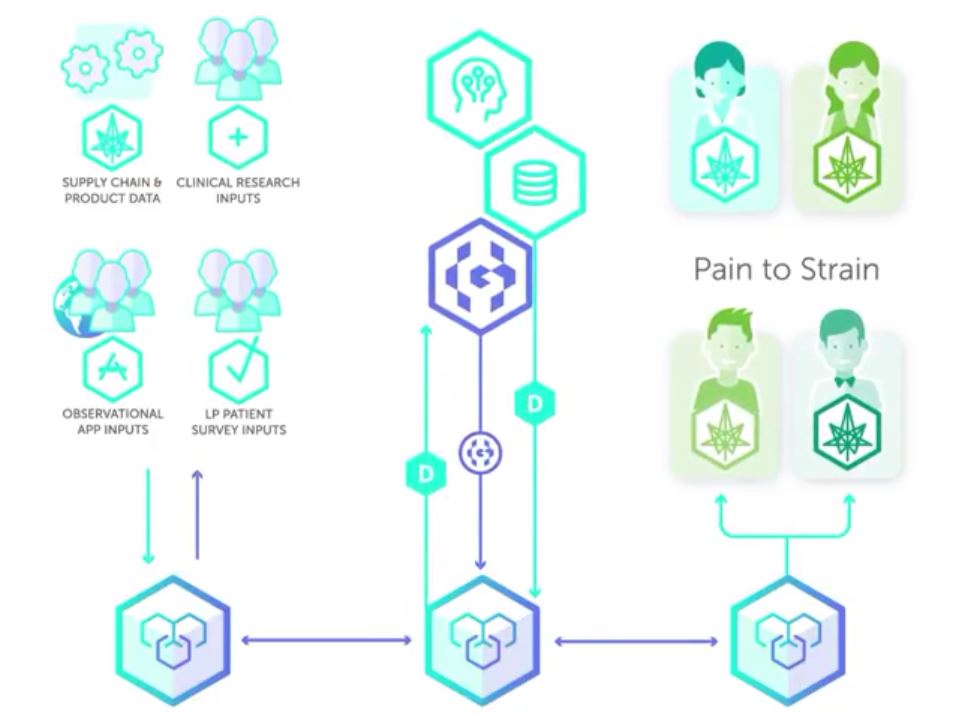 Global Cannabis 1056582