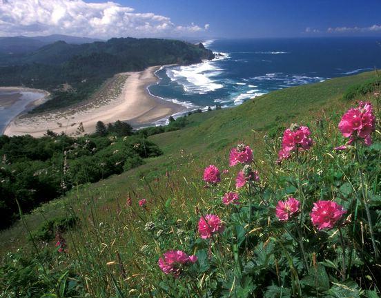 620.DAX Tipp-Spiel, Montag, 17.09.07 120519