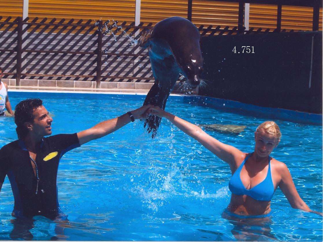 Die Links zu den Sternenkinder (DAX Spiel) 210780