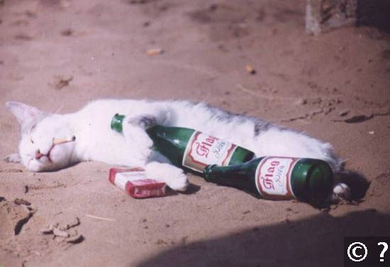 Quo Vadis Dax 2012 - Krise ohne Ende? 472812