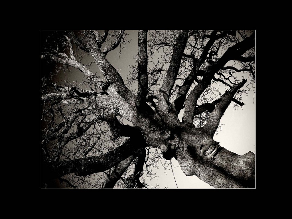 919.DAX Tipp-Spiel *Mitwoch* 19.11.08, 17.45 Uhr 200251