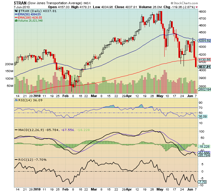 Der USA Bären-Thread 325016