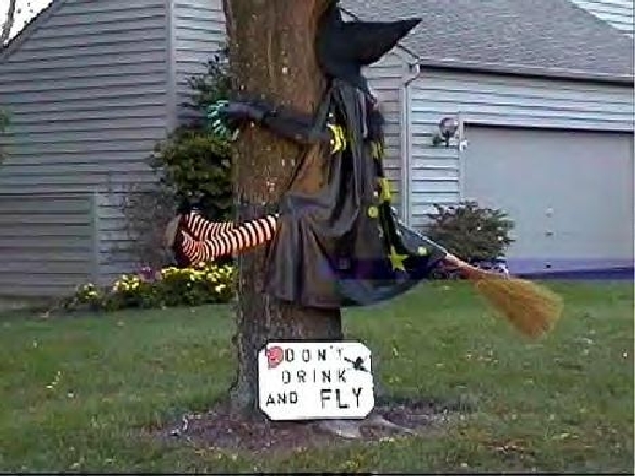 sunwin wird laufen 470027